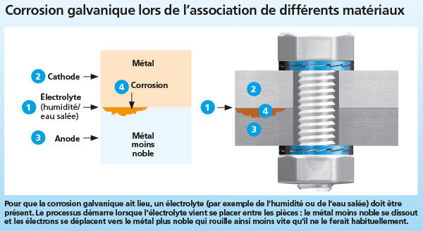 Bien choisir : acier galvanisé vs acier inoxydable